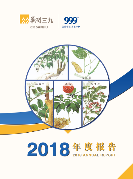 尊龙时凯：2018年年度报告