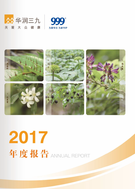 尊龙时凯：2017年年度报告
